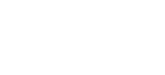 bossini-logo